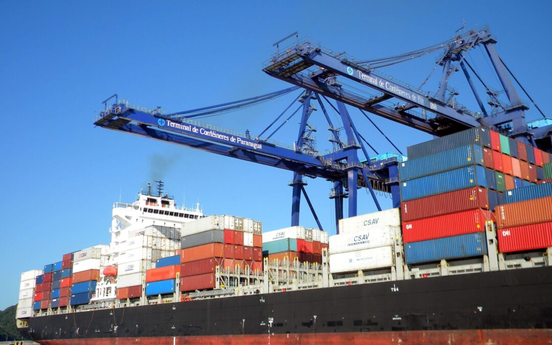 NEW VEHICLES IN THE FLEET