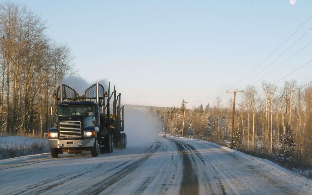 LIBERALIZATION OF LOGISTICS SERVICE